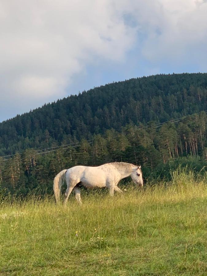 Ng Apartmani Tornik Zlatibor Exteriér fotografie