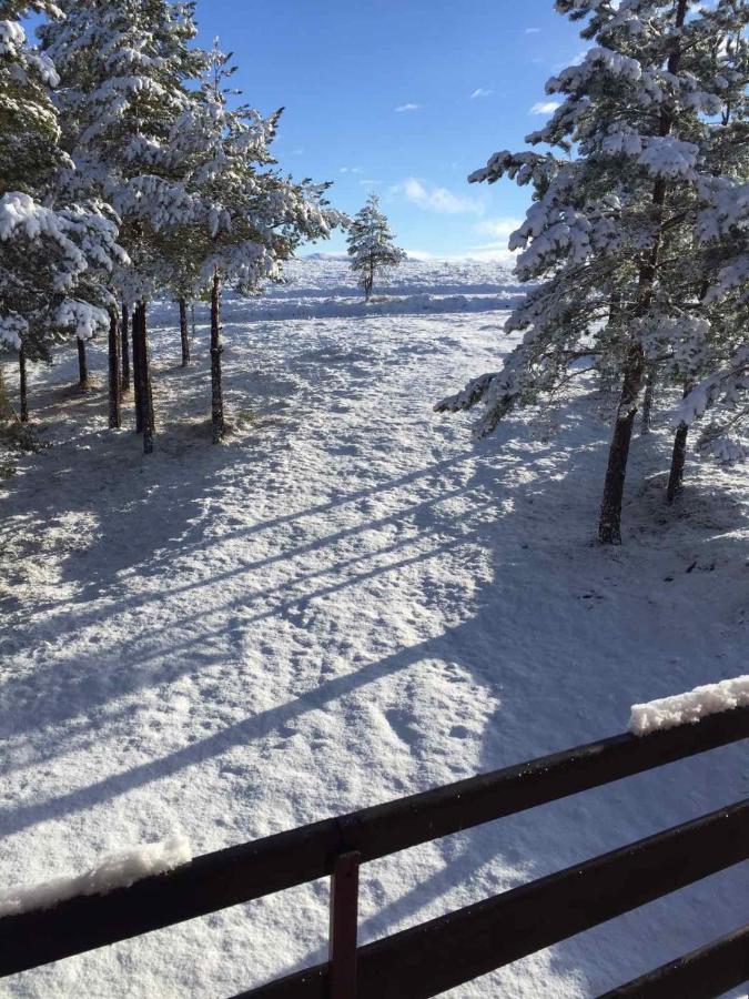 Ng Apartmani Tornik Zlatibor Exteriér fotografie