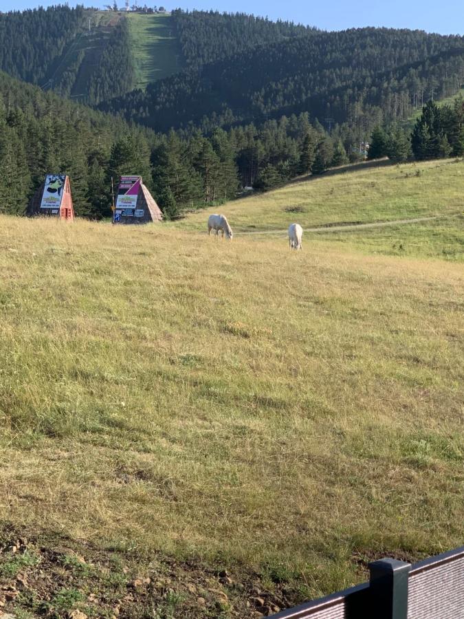 Ng Apartmani Tornik Zlatibor Exteriér fotografie