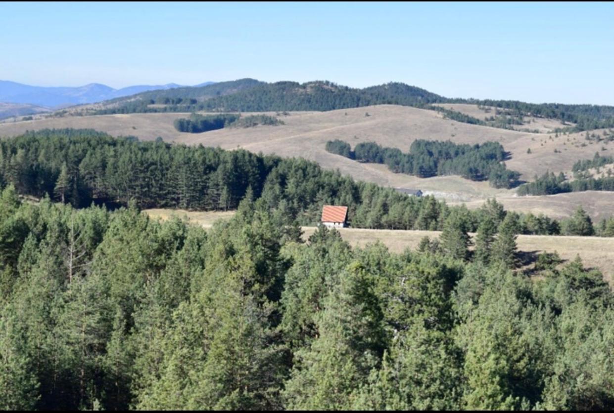 Ng Apartmani Tornik Zlatibor Exteriér fotografie